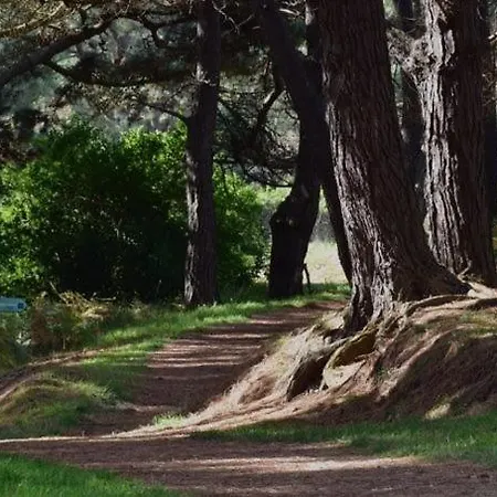 別荘 O Remanso Do Corgo