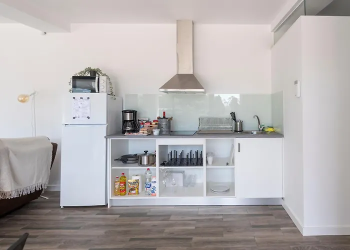 O Remanso Do Corgo * Oleiros