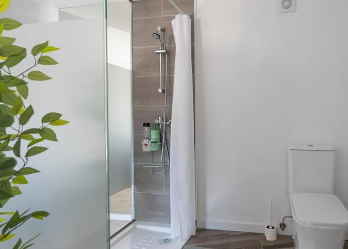 O Remanso Do Corgo * Oleiros