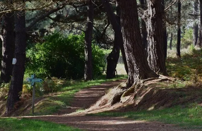 Vakantiehuis O Remanso Do Corgo